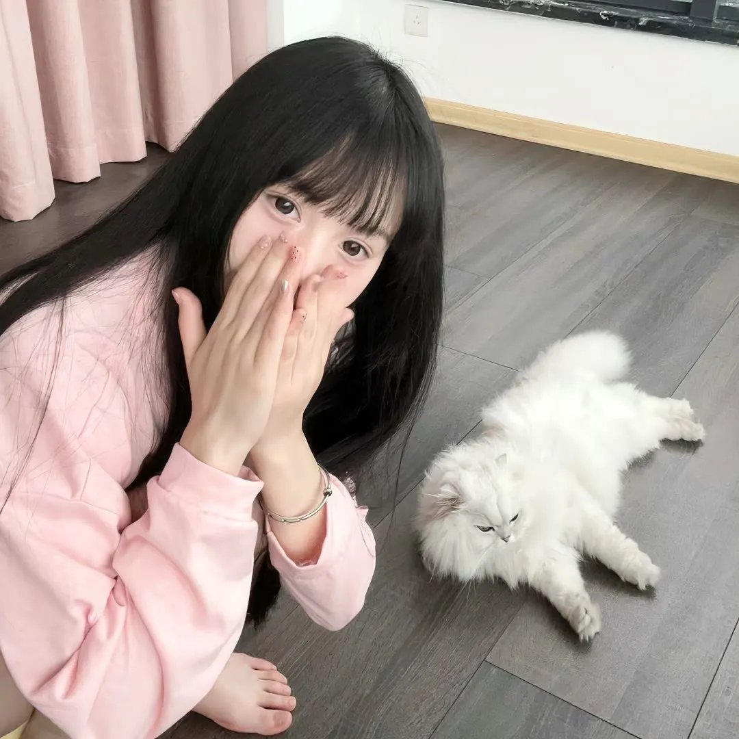 我老死苏怡